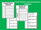 Food Chain Consumers Foldable., Teacher Idea