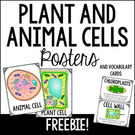 Plant and Animal Cells Science Poster and Vocabulary Cards.