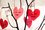 Kindness Tree. The Best Random Acts of Kindness Tree Project.