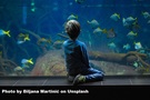World Ocean Day Celebration.