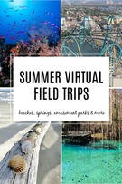 Summer Virtual Field Trips for Kids.
