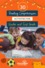 30 Reading Comprehension Activities for K/1.