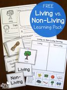 Living Vs Non-Living Learning Pack., Teacher Idea