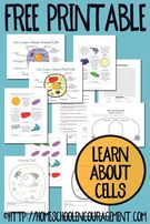 Plant and Animal Cell Printables Grades 4-6.