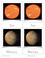 Solar System Nomenclature Cards.